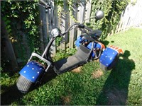 Tricycle électrique avec chargeur (occasion)