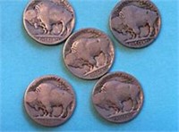 Bag of 5 total assorted BUFFALO Nickels Mixed