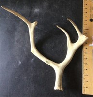 Antlers