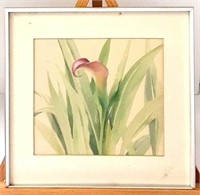 Watercolor of Cala Lily, Signed