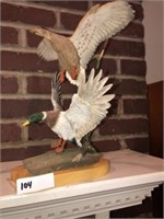 Mallard Duck  Statue (Resin)