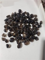 8 Black Bean Medium ,2W5Q4