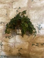 Wall hanger with plant