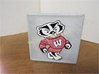 glass block painted Wisconsin Badger lighted