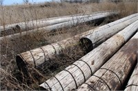 11- Large REA Poles