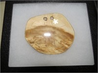 2 HOLE SHELL GORGET -- AGE UNCERTAIN