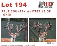 2022 Ohio Trophy & Breeder Auction