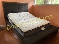 Adjustable Bed w/ Remote (Queen Size) Includes Bed