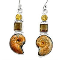 Genuine Ammonite Fossil & Topaz Earrings
