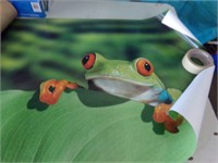 Frog posters
