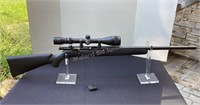 Savage Arms Model 93R17 with Scope