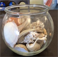 fish bowl of sea shells