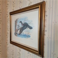 Jules Scheffer Signed Wood Duck Print