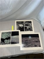 Moon Prints