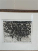 Rudy Pozzatti " Tree In Autumn Light 20/200