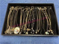 Jewelry lot of costume necklaces & holder