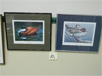 (2) Wild Duck Prints - (1) Ruddy Duck & (1) Green-