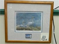 White Geese Framed Print By Robert Bateman w/