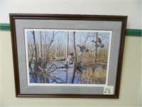Flooded Timber Woodies Framed Print By Richard -