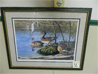 Ladies Choice Wild Duck Framed Print By Al Agnew -