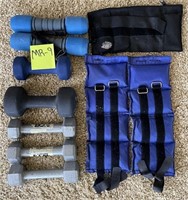 E - LOT OF SMALL DUMBBELLS & ANKLE WEIGHTS (MR9)