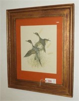 Lot #3384 - Framed print of Pintails by Charles