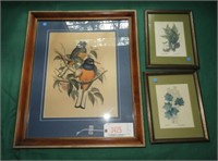Lot #3425 - Pair of framed floral prints