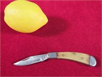 Wild Boar Surgical Steel Knife