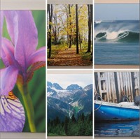 (5) Canvas Art Photos