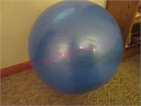 Nordic Track exercise ball (24in diameter)basement