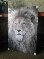 47 x 71 King of the beasts
