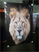 47x71 The Majestic King