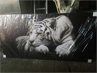 79x40 the Tiger