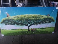 79x40 the butterfly tree