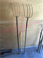 (2) 4-Prong pitchforks (older)