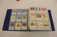 Magic: The Gathering CCG (Approx. 1000+ cards)