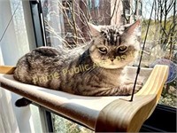 Umsicht $45 Retail Cat Window Perch for Indoor