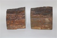 TWO PIECES OF PETRIFIED WOOD