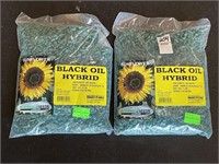 (2) Sunflower Black Oil Hybrid New