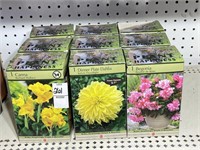 (9) Plant Happiness Bulbs New