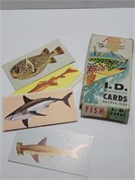1962 McGraw-Hill Fish ID Cards in Box