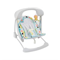 Fisher Price Deluxe Take Along Swing & Seat