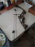Hoyt bow 29 and a half to 31 in