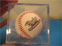 Baseball In case -Iron birds Signed