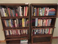 Lot of various books (not the cabinets) basement