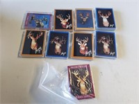 Whitetail deer Cards