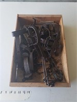 box of traps