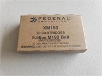 Federal XM 193 556 brass case