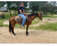 HOUSTON 14 YEAR OLD WALKING HORSE *VIDEO*