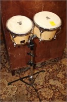 Bongo LP Aspire Drums on stand